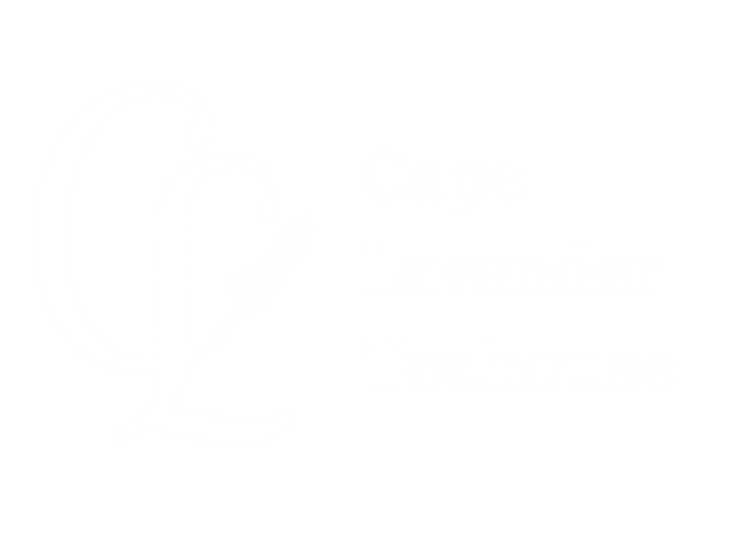Organic Chai Turmeric / Lavender Tea 100g